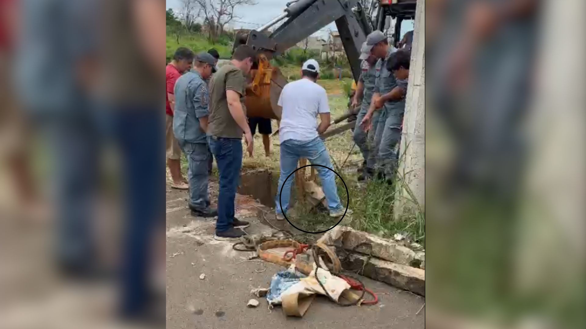 foto Not&iacute;cia Mirassol