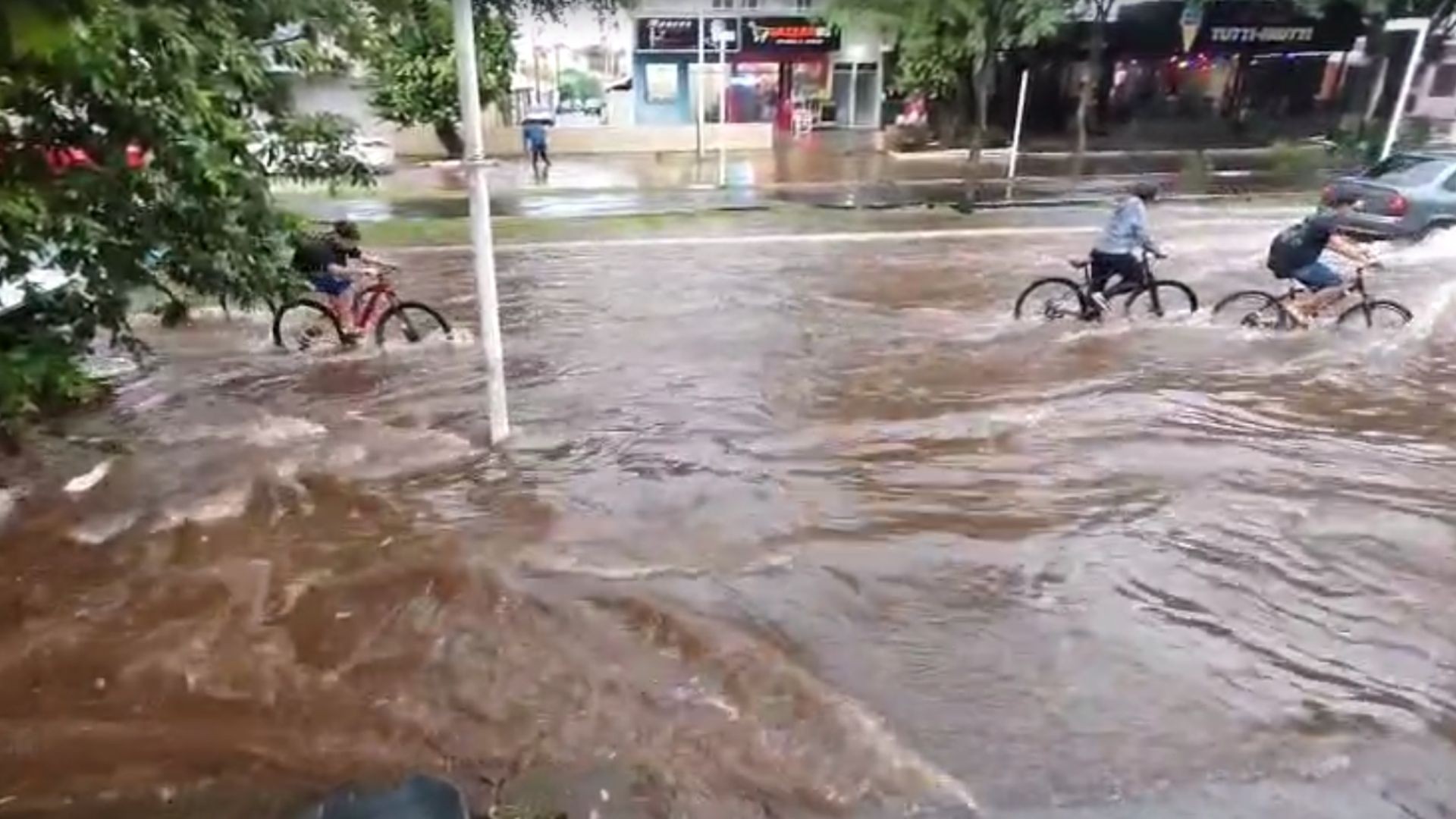 foto Not&iacute;cia Mirassol