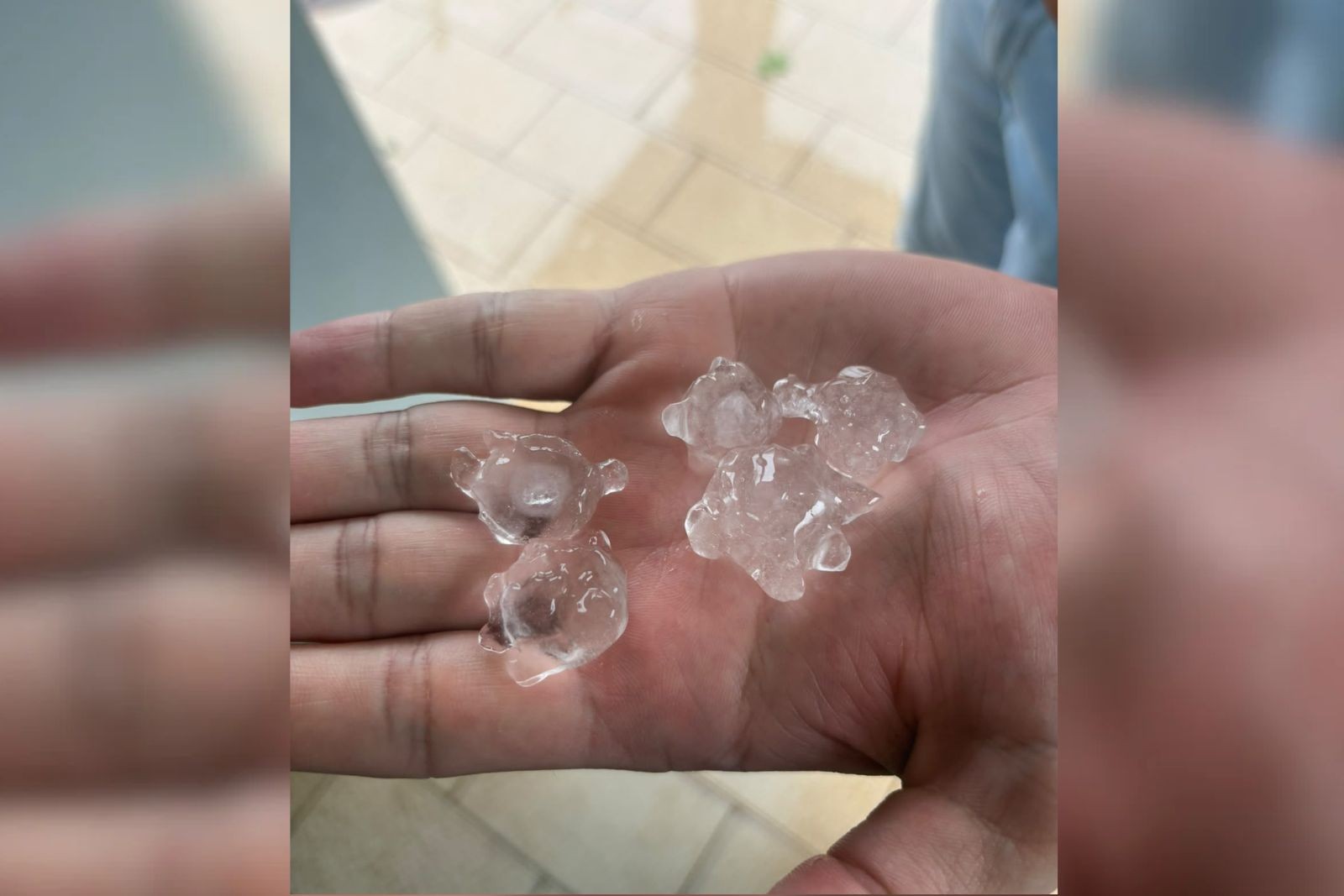 foto Not&iacute;cia Mirassol